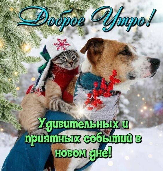 Зимнее утро картинки с надписями