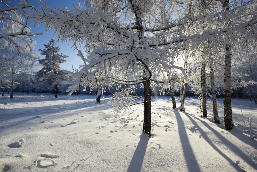 160 красивых фото зимы