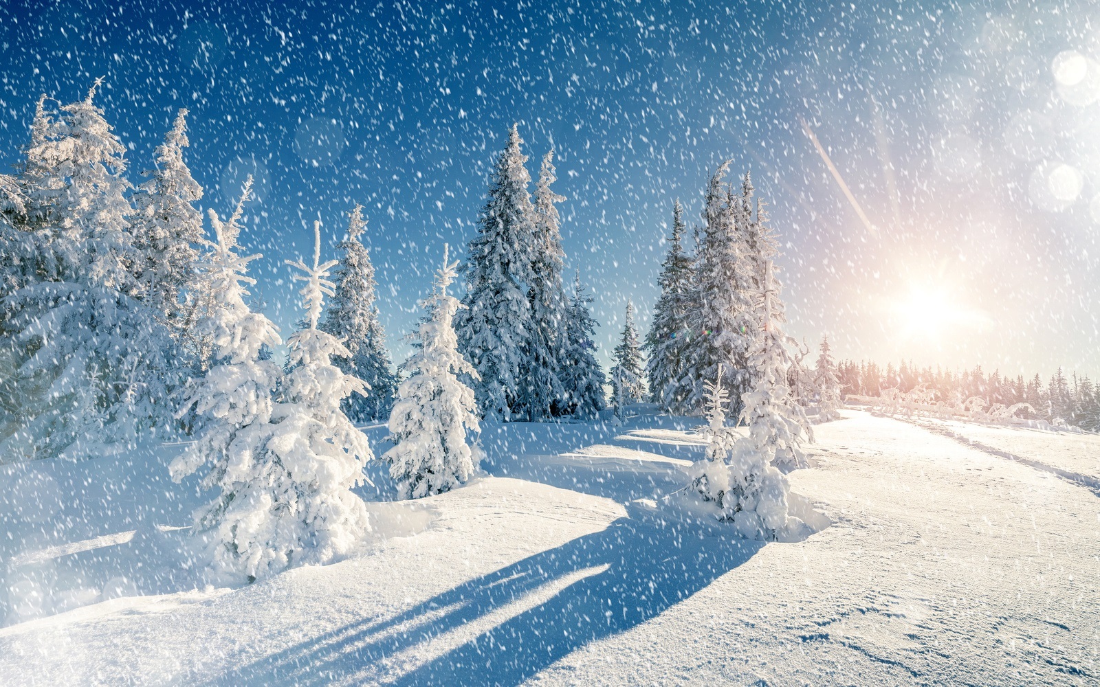 ТОП-300+ потрясающих фотографий зимней природы