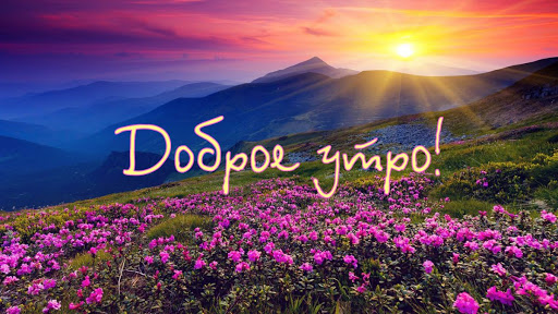 66 красивых утренних открыток с природой