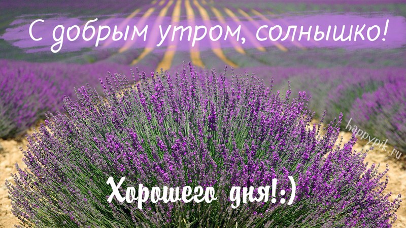 66 красивых утренних открыток с природой