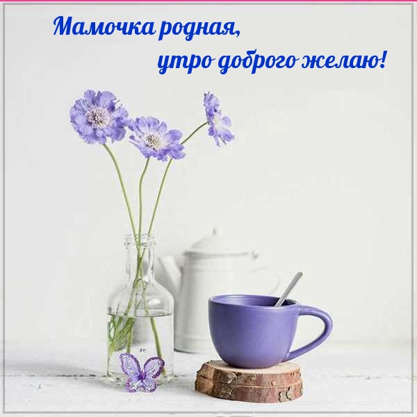 Картинки с добрым утром мамуля и хорошего дня