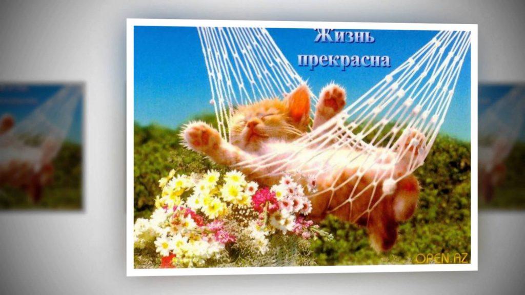 66 красивых утренних открыток с природой