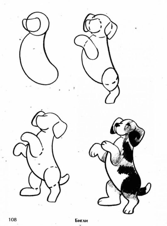180 рисунков собаки для детей