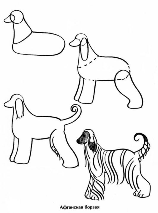 180 рисунков собаки для детей