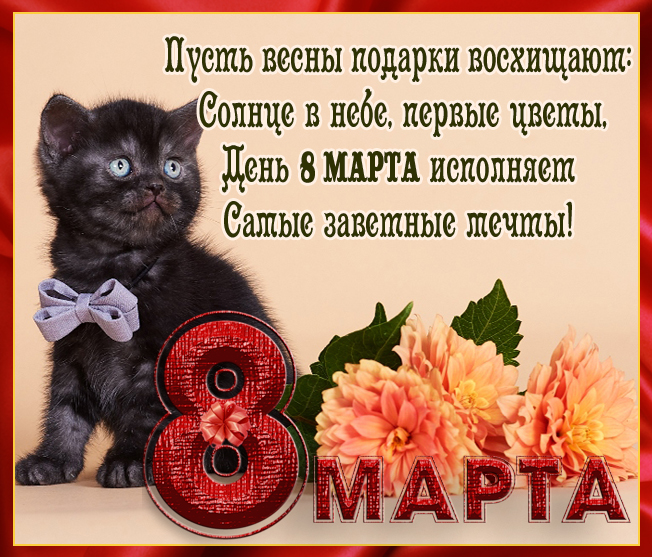 Прикольные картинки "С 8 марта" (ТОП-200 смешных фото)