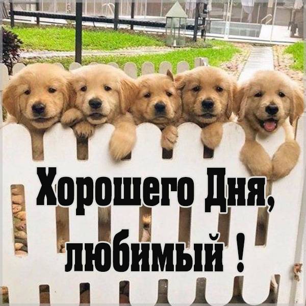 Хорошего дня и отличного настроения! 90 открыток для мужчины с пожеланиями