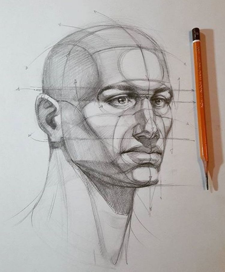 Как нарисовать человека карандашом: 80 поэтапных рисунков для начинающих