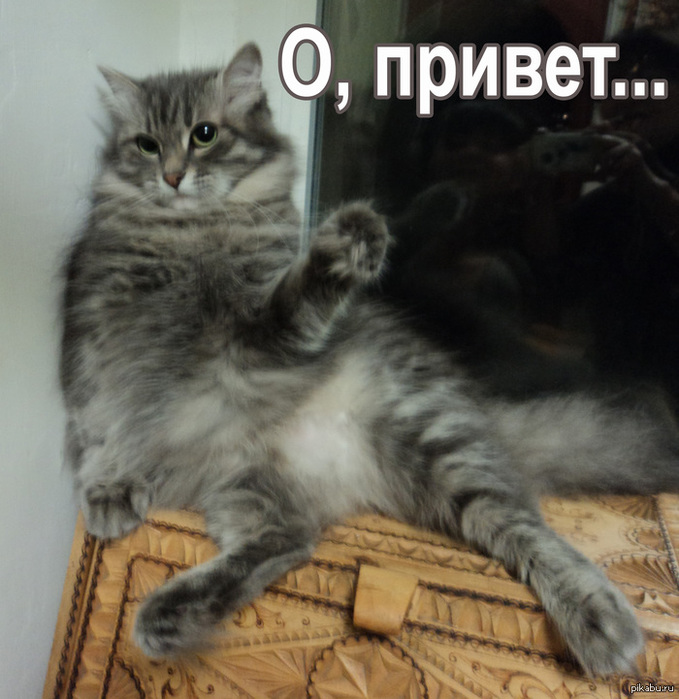 Как смешно поздороваться