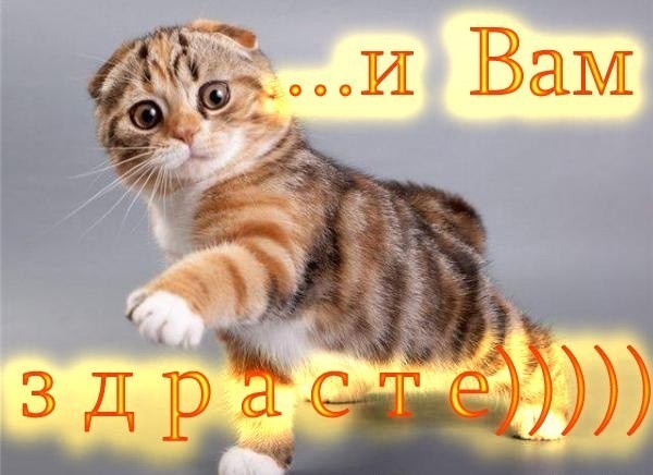 Как смешно поздороваться