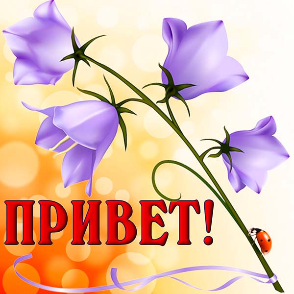 Как смешно поздороваться