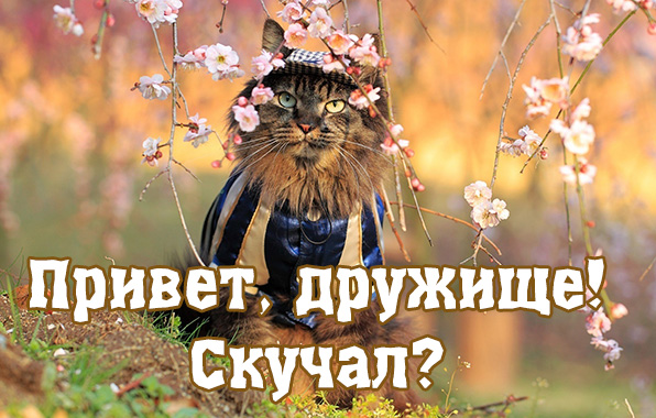 Как смешно поздороваться