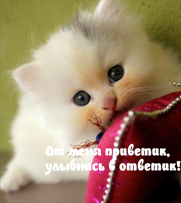 Как смешно поздороваться