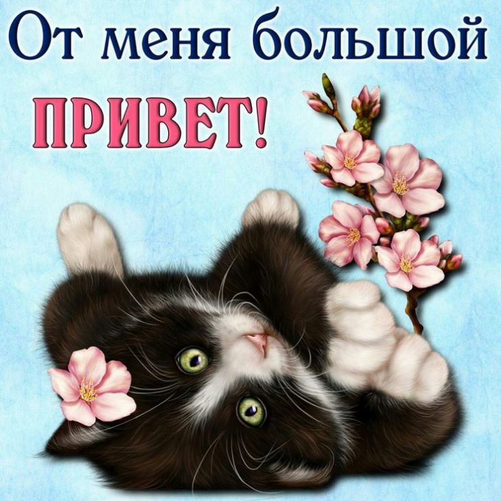 Как смешно поздороваться