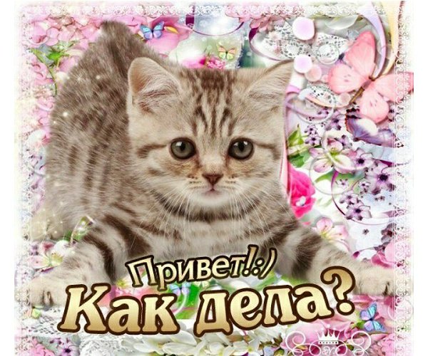 Как смешно поздороваться