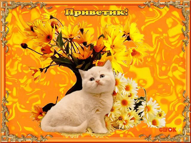 Как смешно поздороваться
