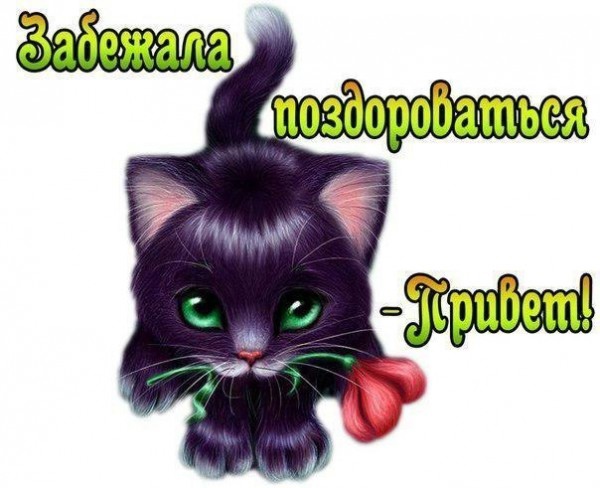 Как смешно поздороваться