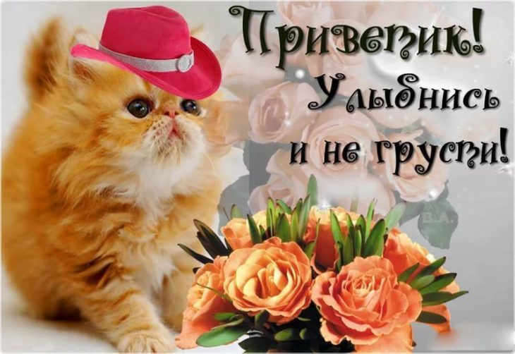 Как смешно поздороваться
