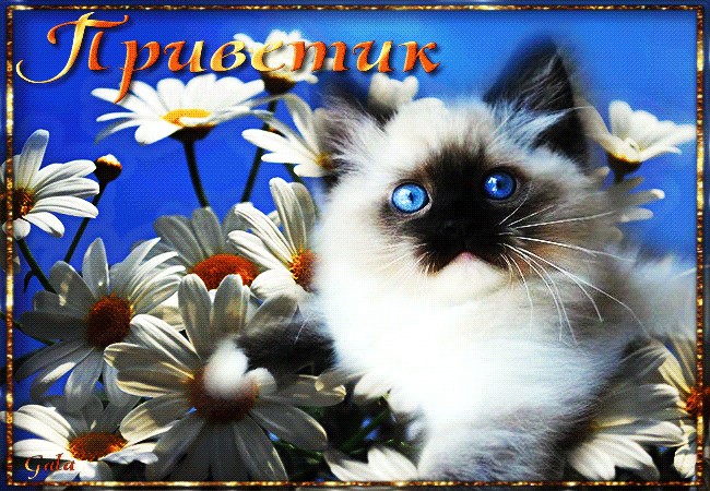Как смешно поздороваться