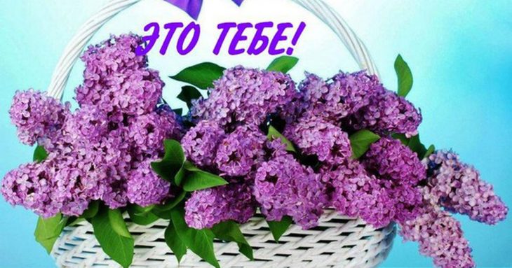 Самые красивые открытки: ТОП-100 лучших в 2022 году