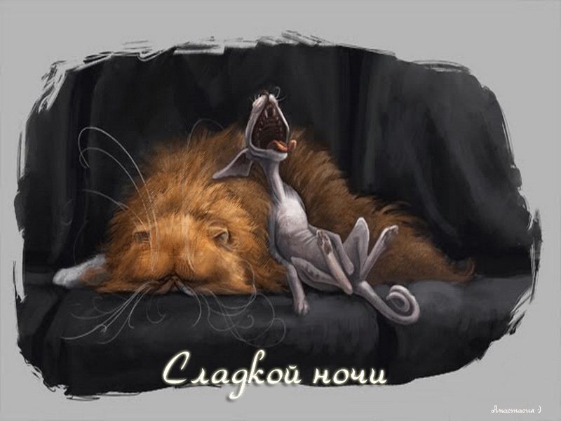 Картинки Спокойной ночи, Сладких снов! 112 красивых изображений