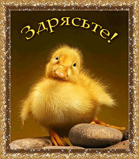 Как смешно поздороваться