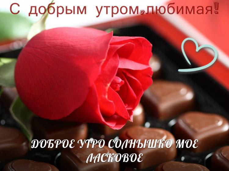 Роза, конфеты и пожелания доброго утра любимой.