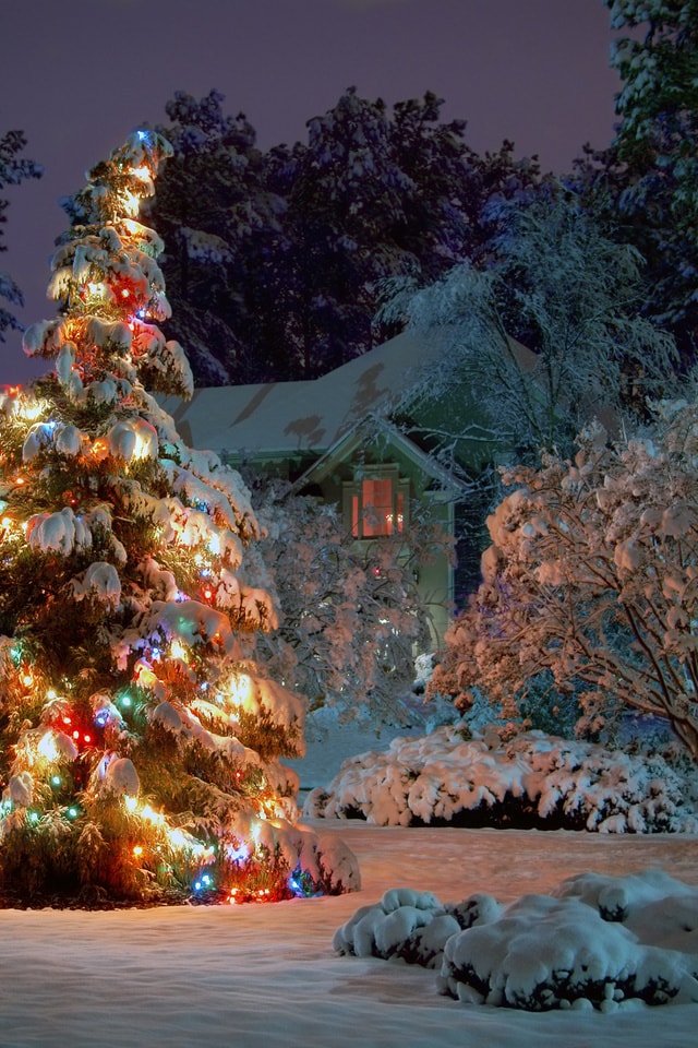 Зима: красивые картинки на телефон. 99 изображений для скачивания