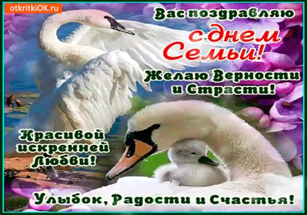 150 красивых открыток "С Днем семьи" 2023