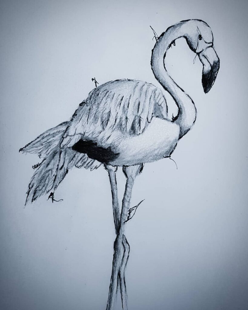 Фламинго на двух ногах