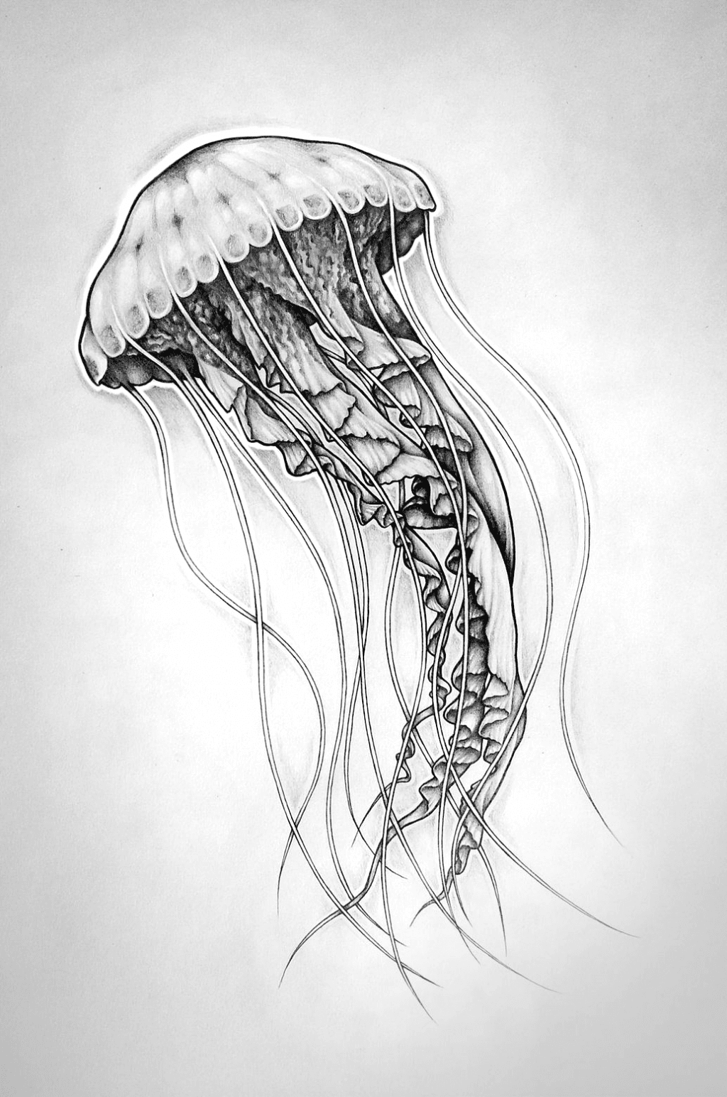 Медуза рисунок