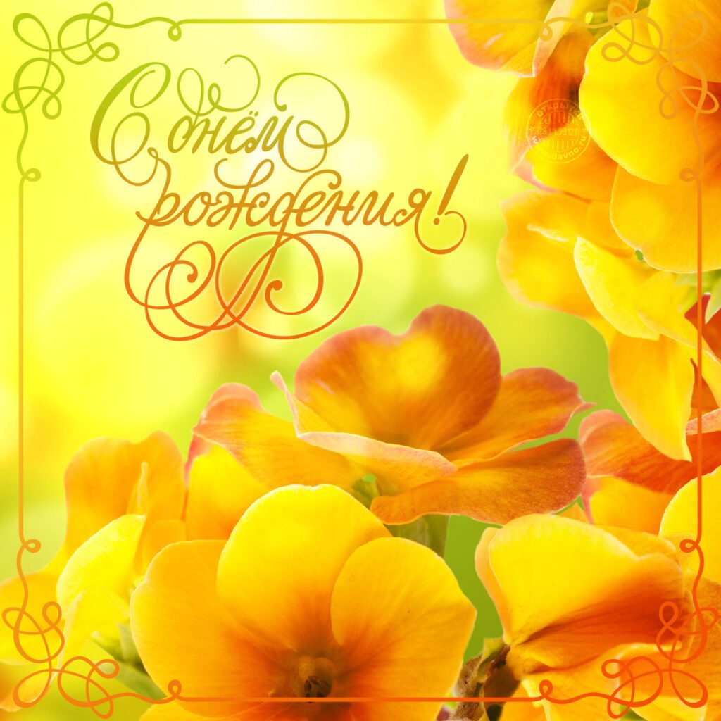 Милая и нежная открытка для женщин желтые цветы