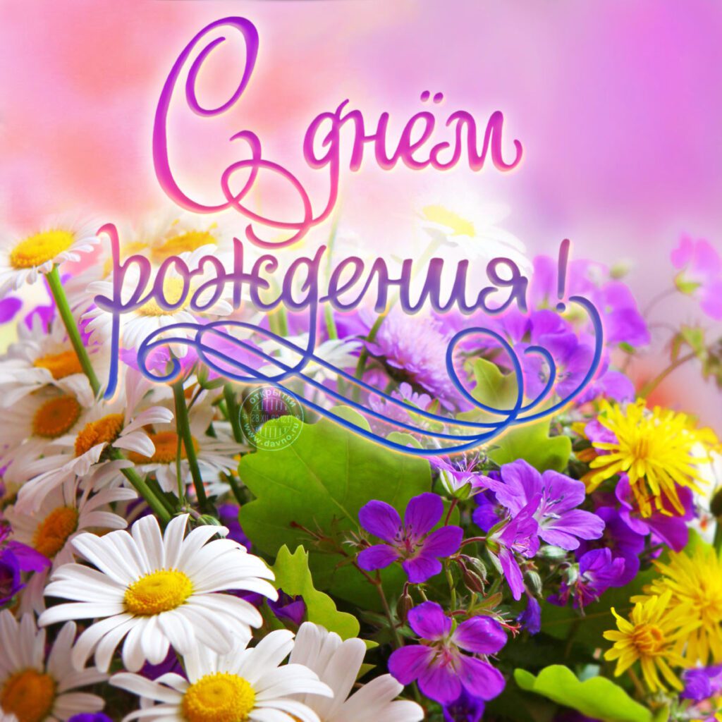 Милая и нежная открытка для женщин полевые цветы