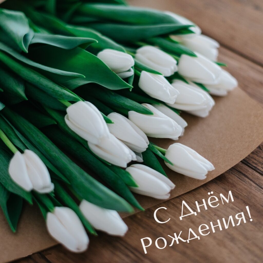 Милая и нежная открытка для женщин белые тюльпаны