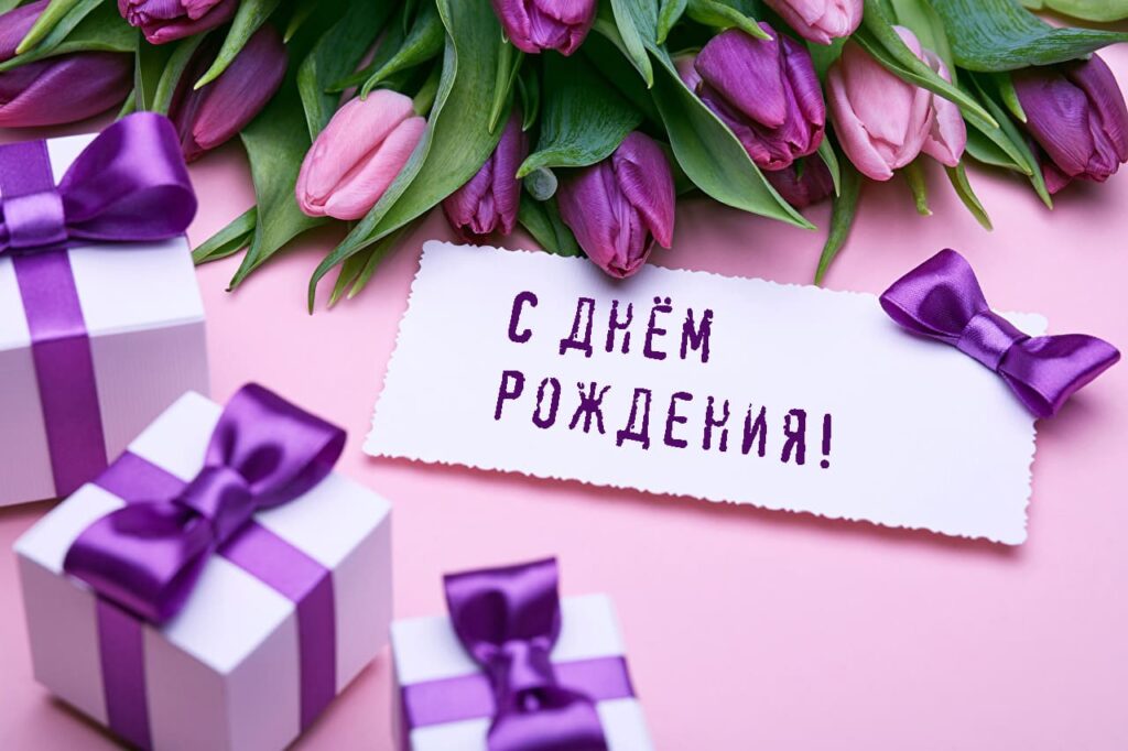 Сиреневые и фиолетовые тюльпаны