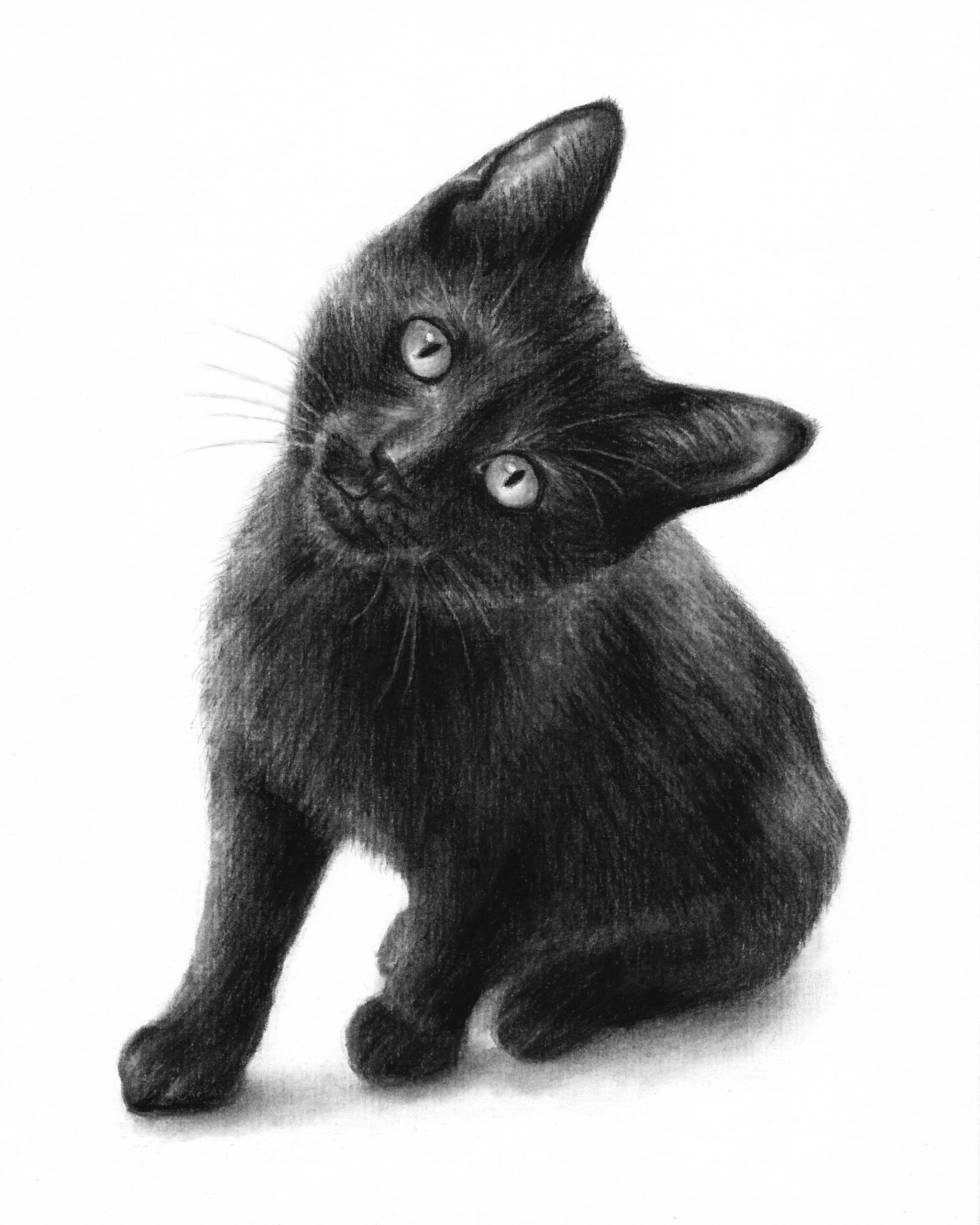 Нарисованный черный кот