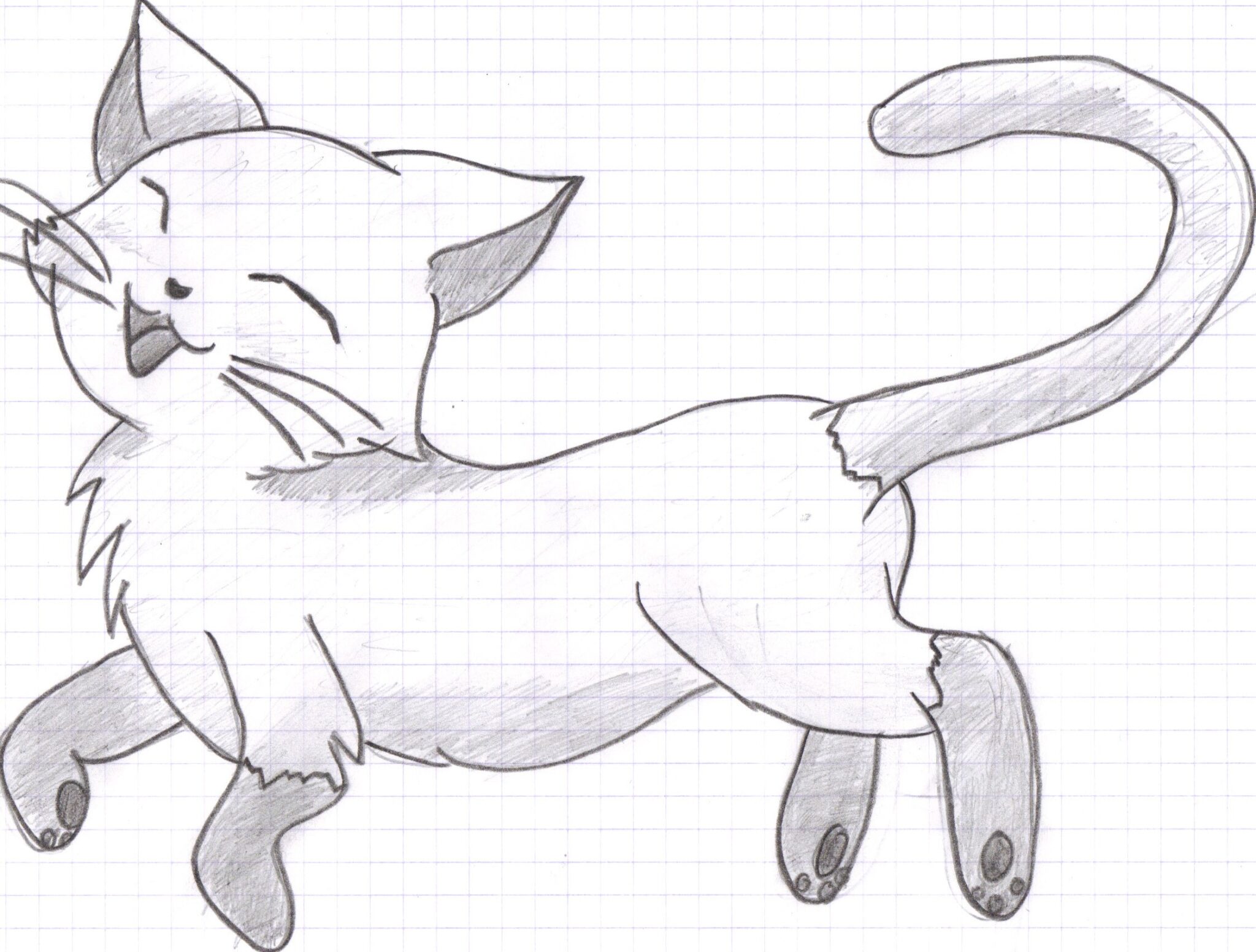 Рисунок кота карандашом для срисовки