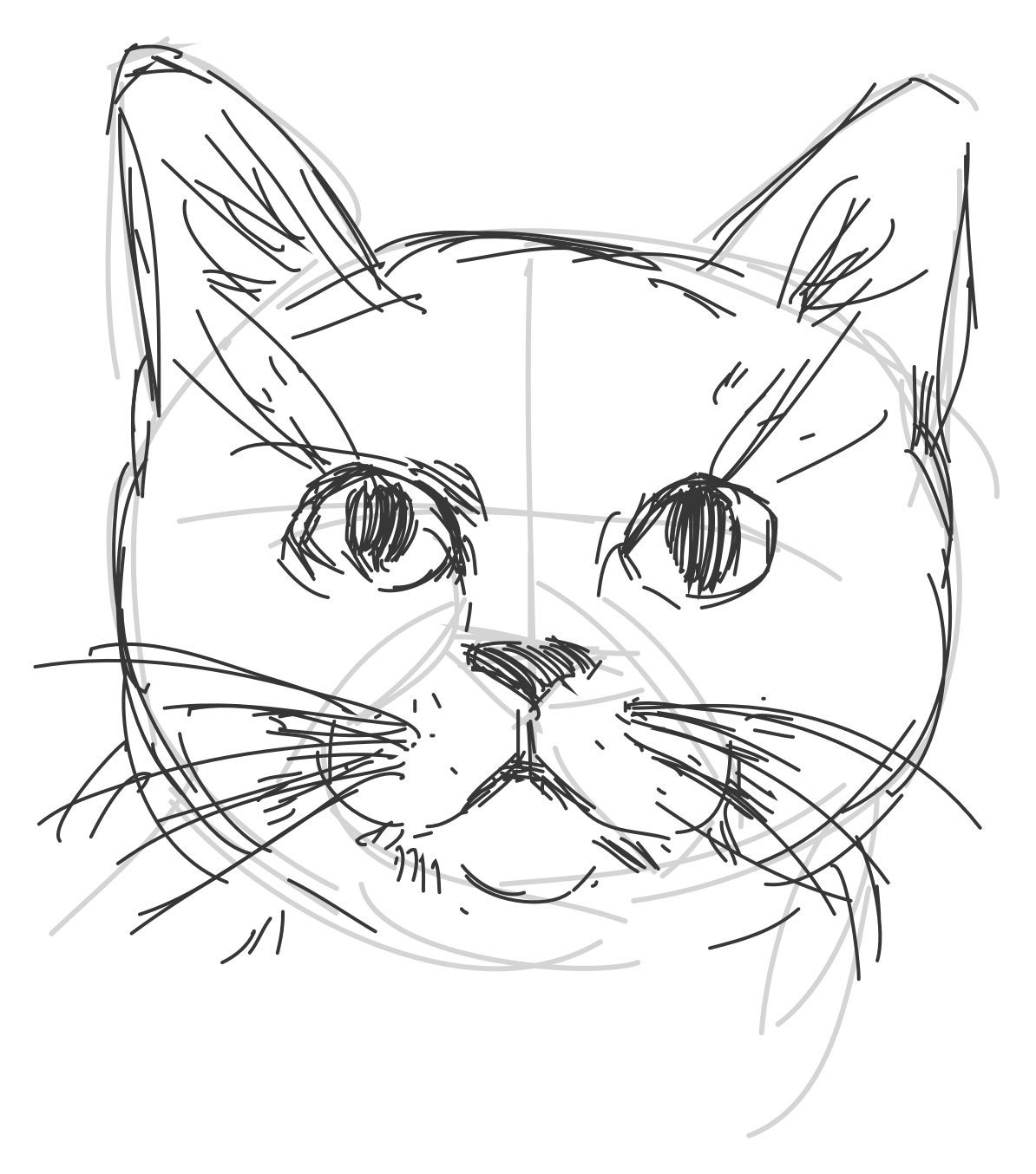 Рисунки котиков для срисовки