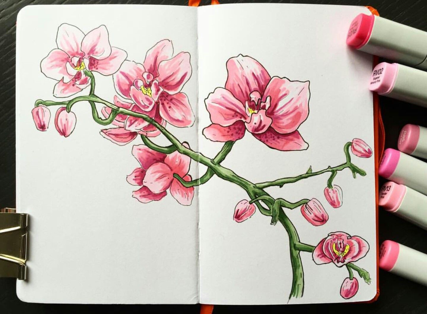 картинки для срисовки в скетчбук цветы