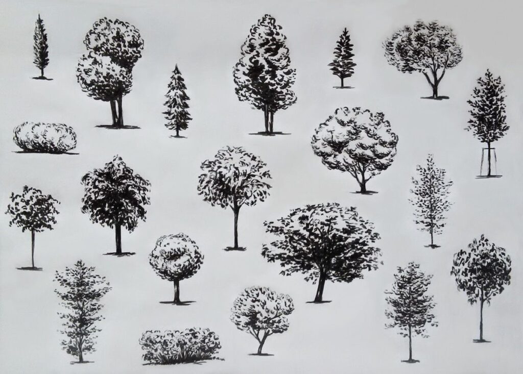 Деревья на рисунке
