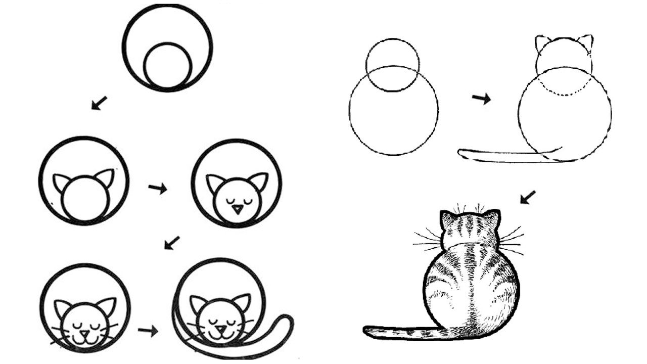 Урок рисования 8 лет. Простые пошаговые рисунки. Пошаговые схемы рисования для детей. Рисунки по этапно для начинающих. Схема рисования кошки.