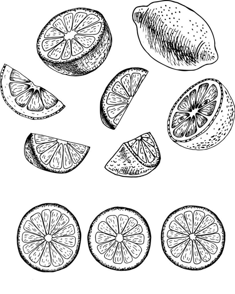 Черно белый рисунок апельсина