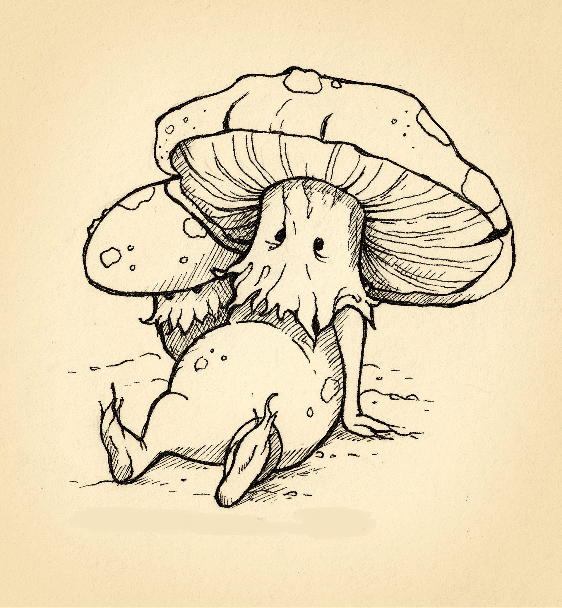 Интересный рисунок гриба. 