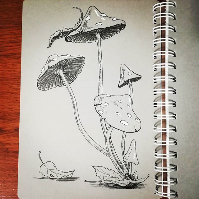 Рисунок грибов