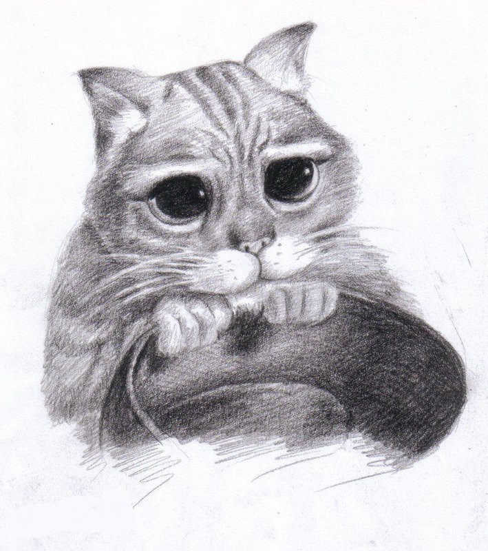 Кот в сапогах с большими глазами
