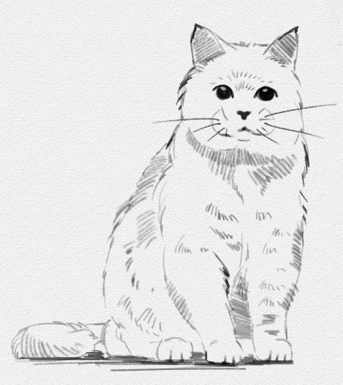 Рисунок кошки