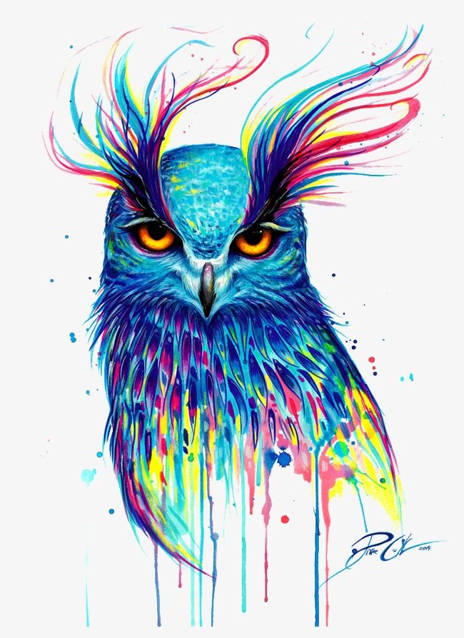 Разноцветная сова