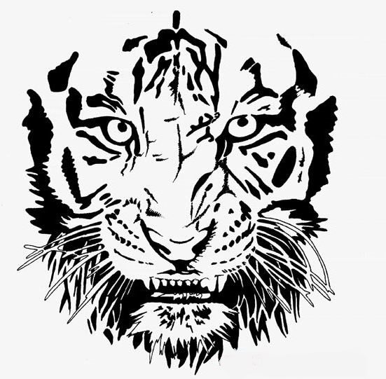 Очертания тигра ручкой