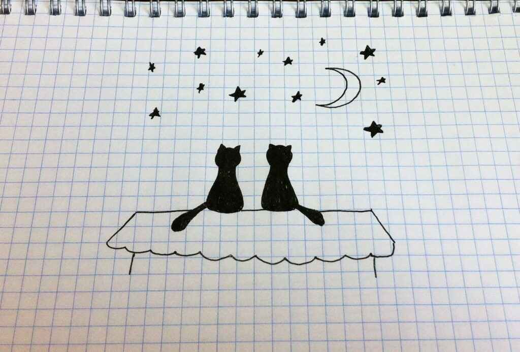 Два кота и ночь