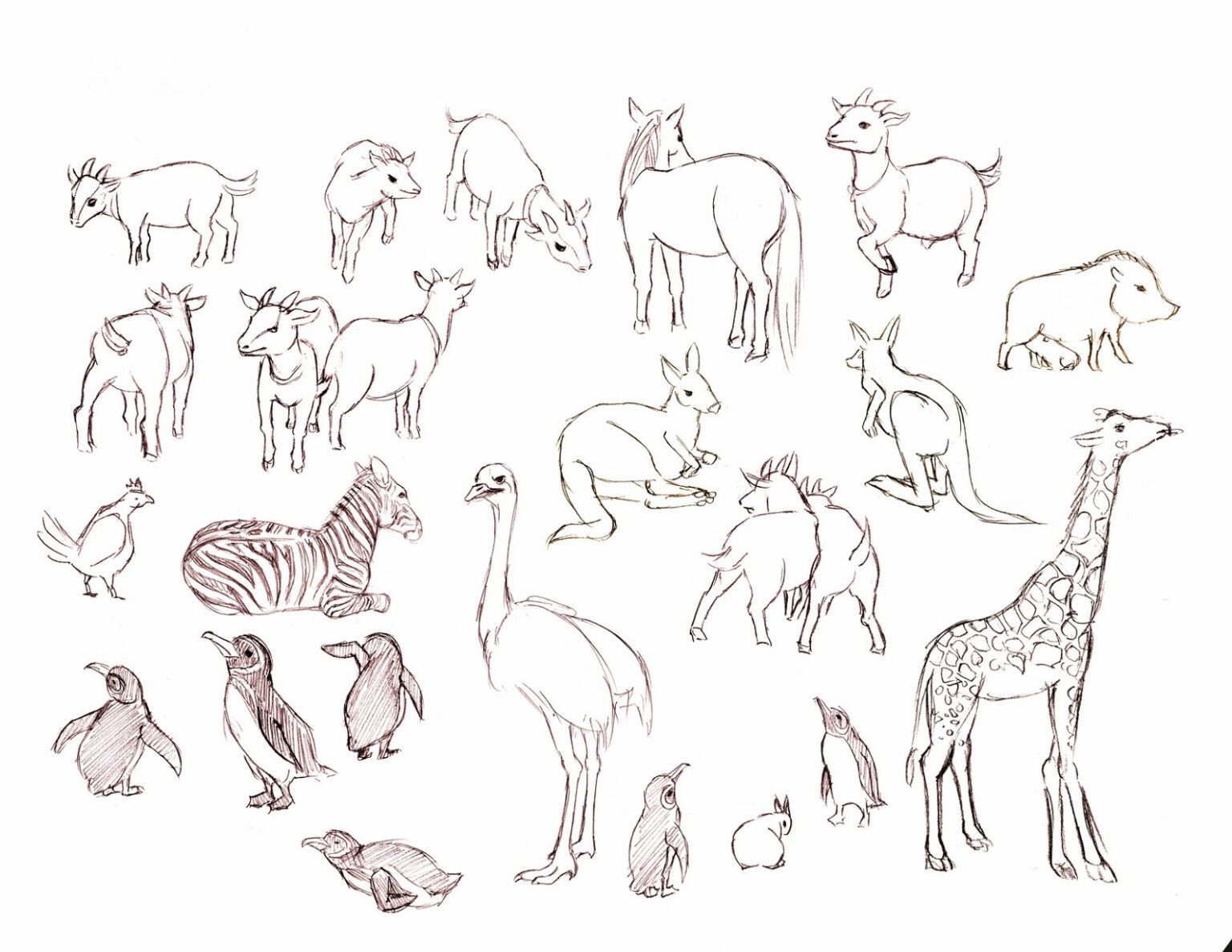 Животные для рисования